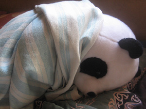 panda.jpg